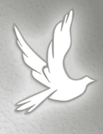 Donald Arthur Arms Obituary